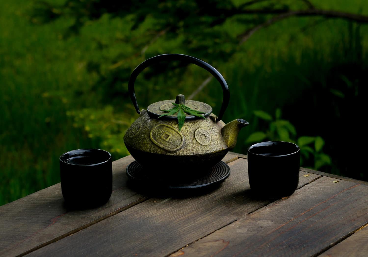 Casa de té en el Jardín Japonés de Buenos Aires